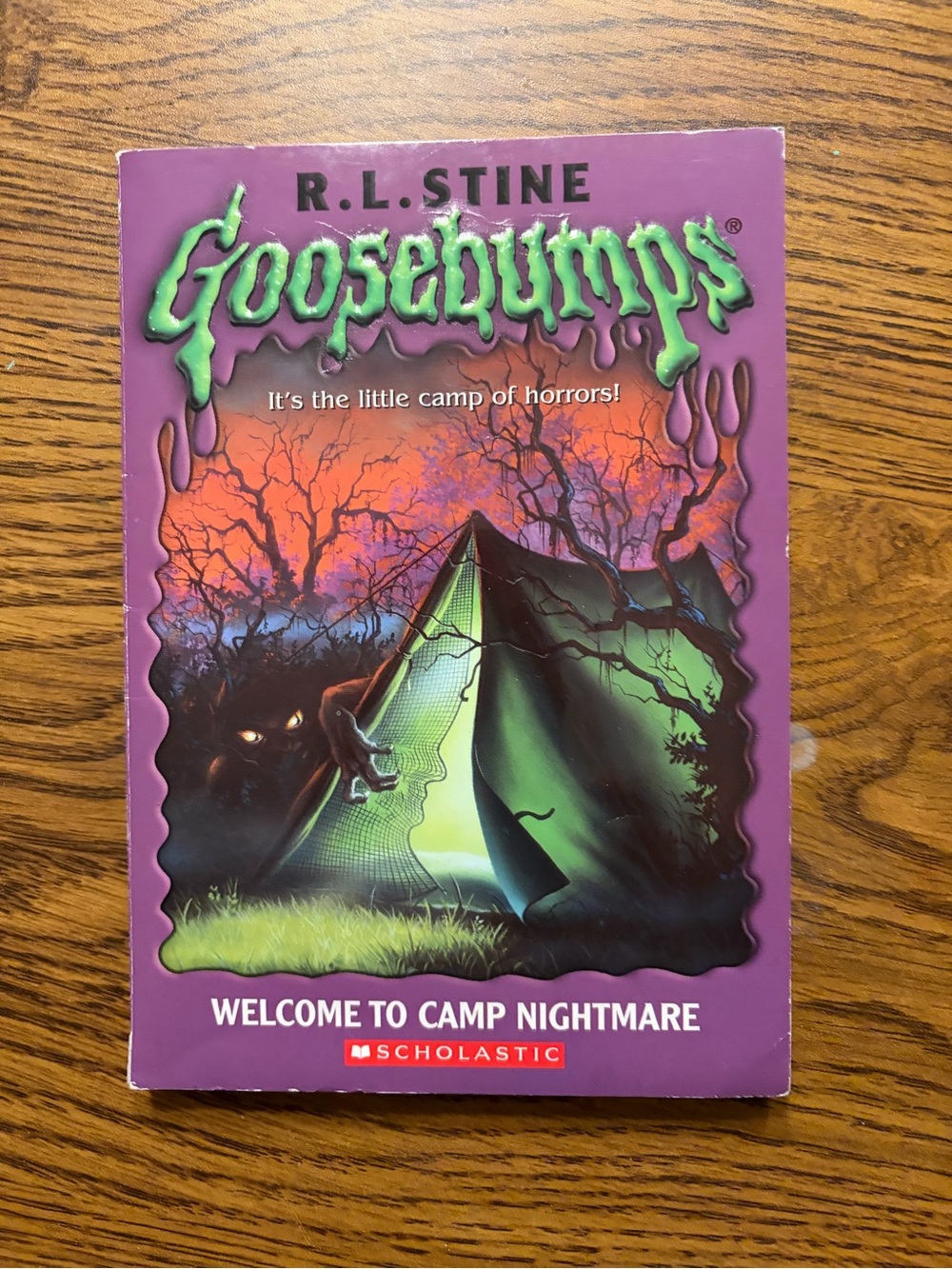 R.L. Stine Goosebumps "Welcome to Camp Nightmare" - Purple Cover